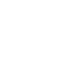 Mobile Shopping Experiences